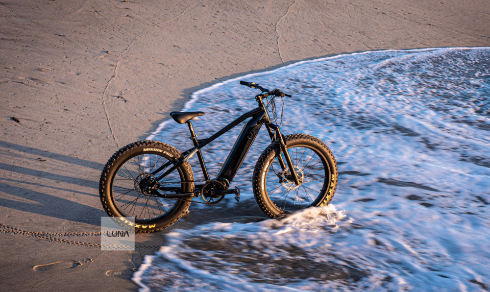 Luna Cycle elektrische fiets e-bike