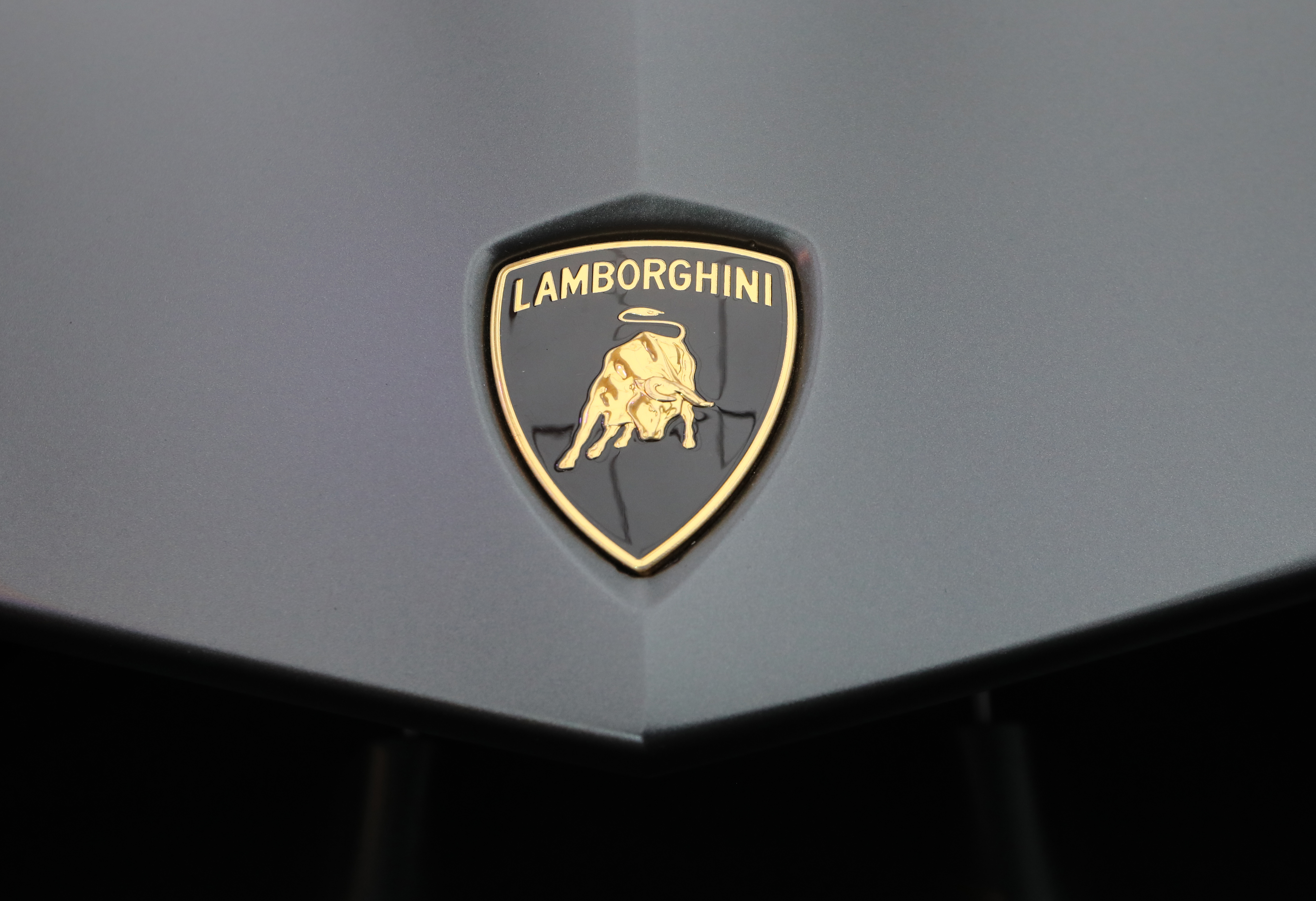 Lamborghini logo