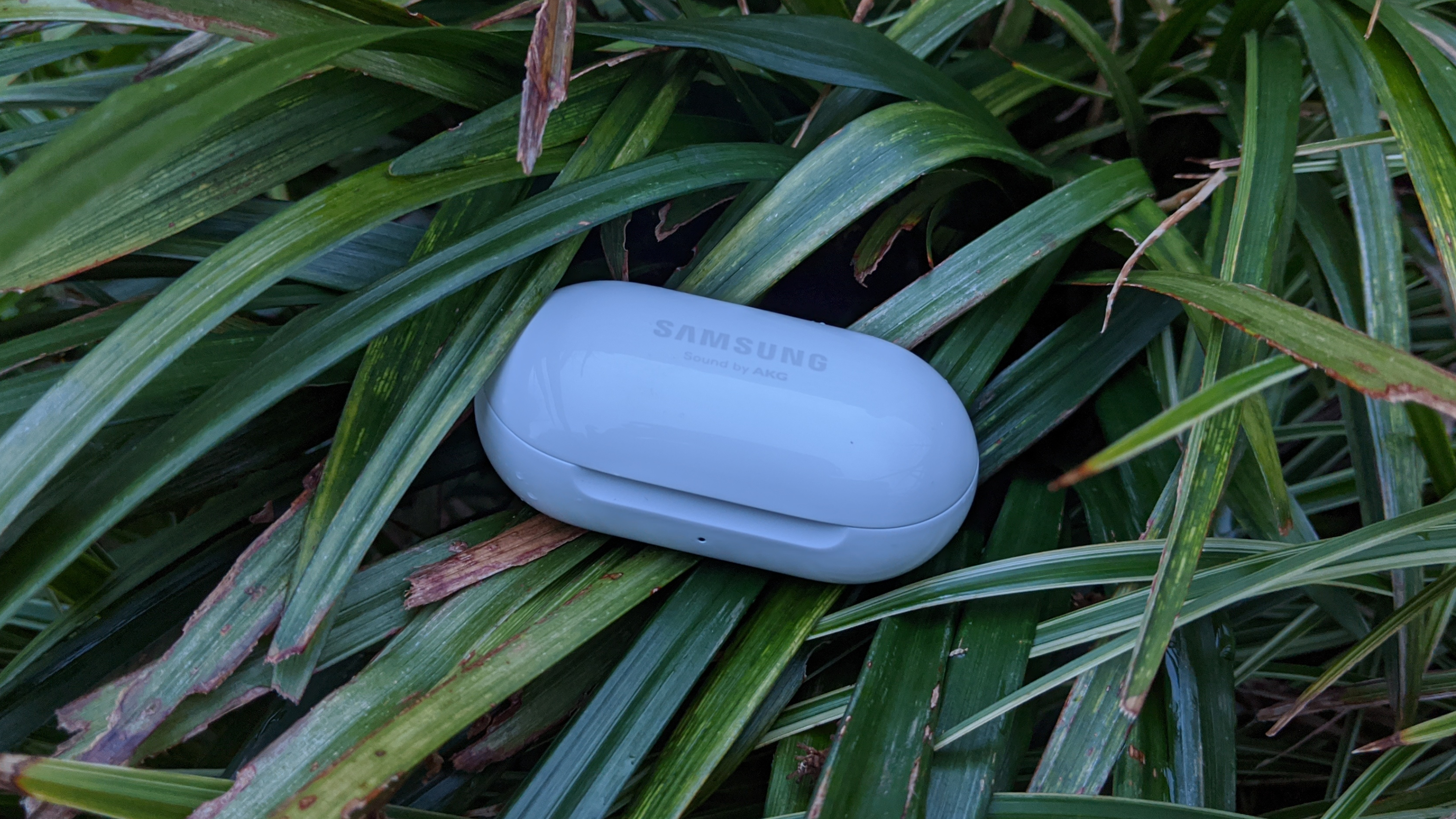 samsung galaxy buds plus