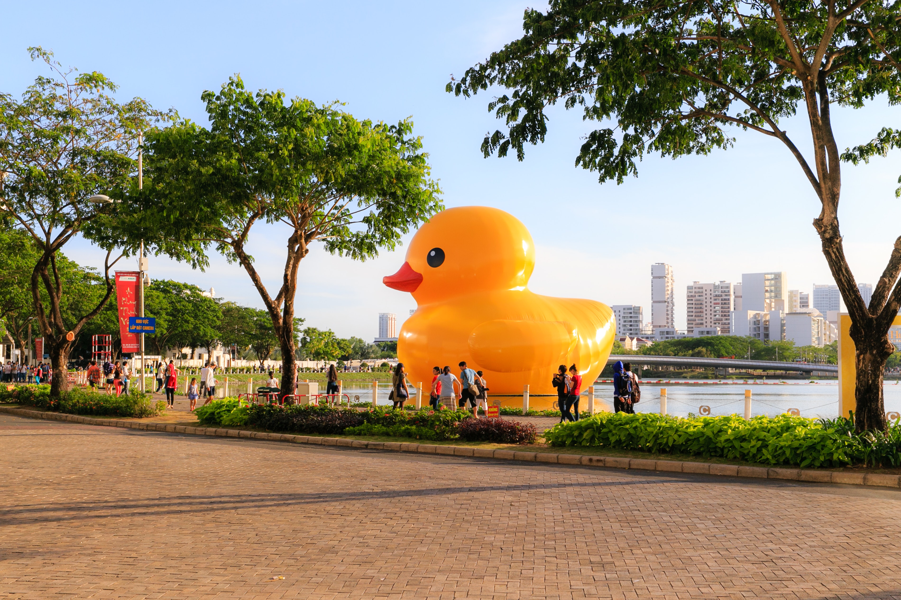 badeend rubber duck
