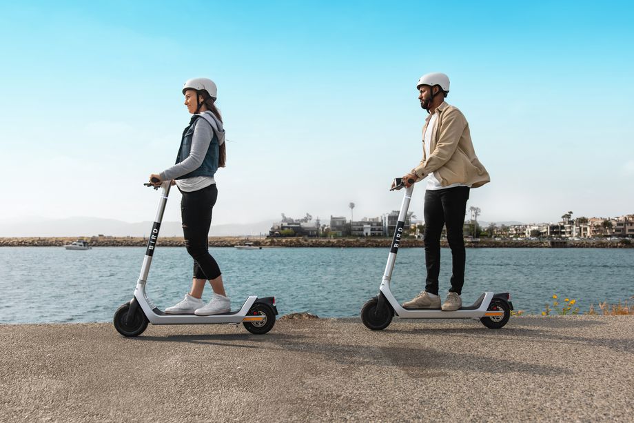 Bird Three elektrische step