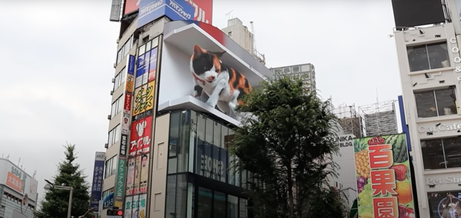 3D kat Tokio