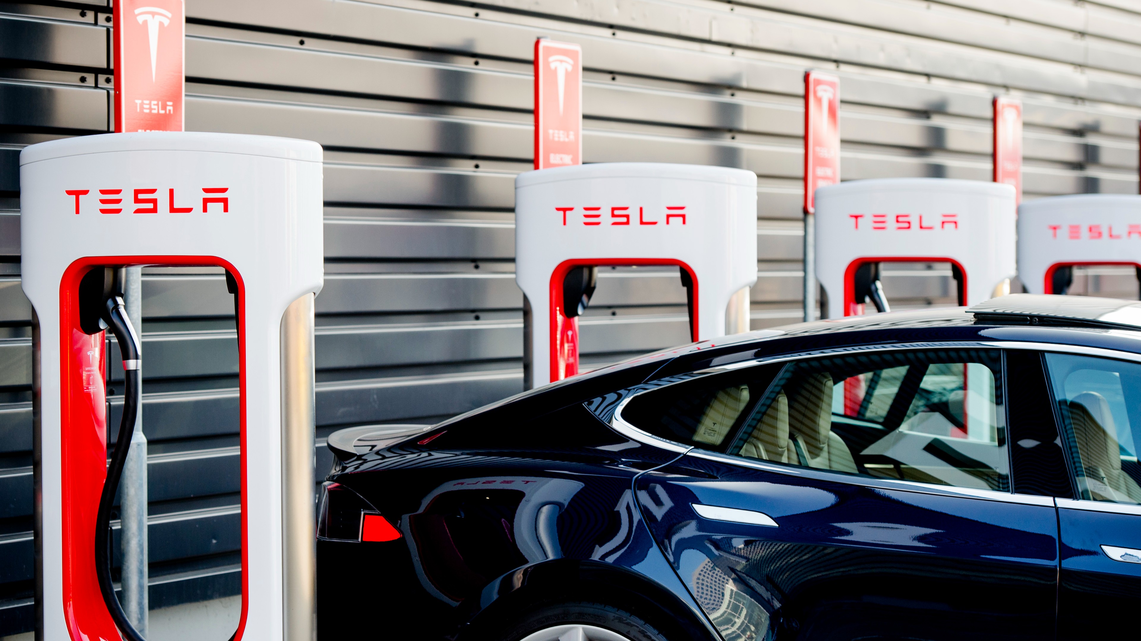 Dictatuur blozen Groene achtergrond Tesla heeft geweldig nieuws voor iedereen met een elektrische auto