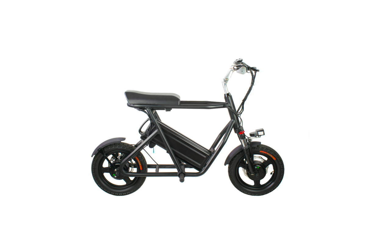 EMOVE RoadRunner VoroMotors elektrische step