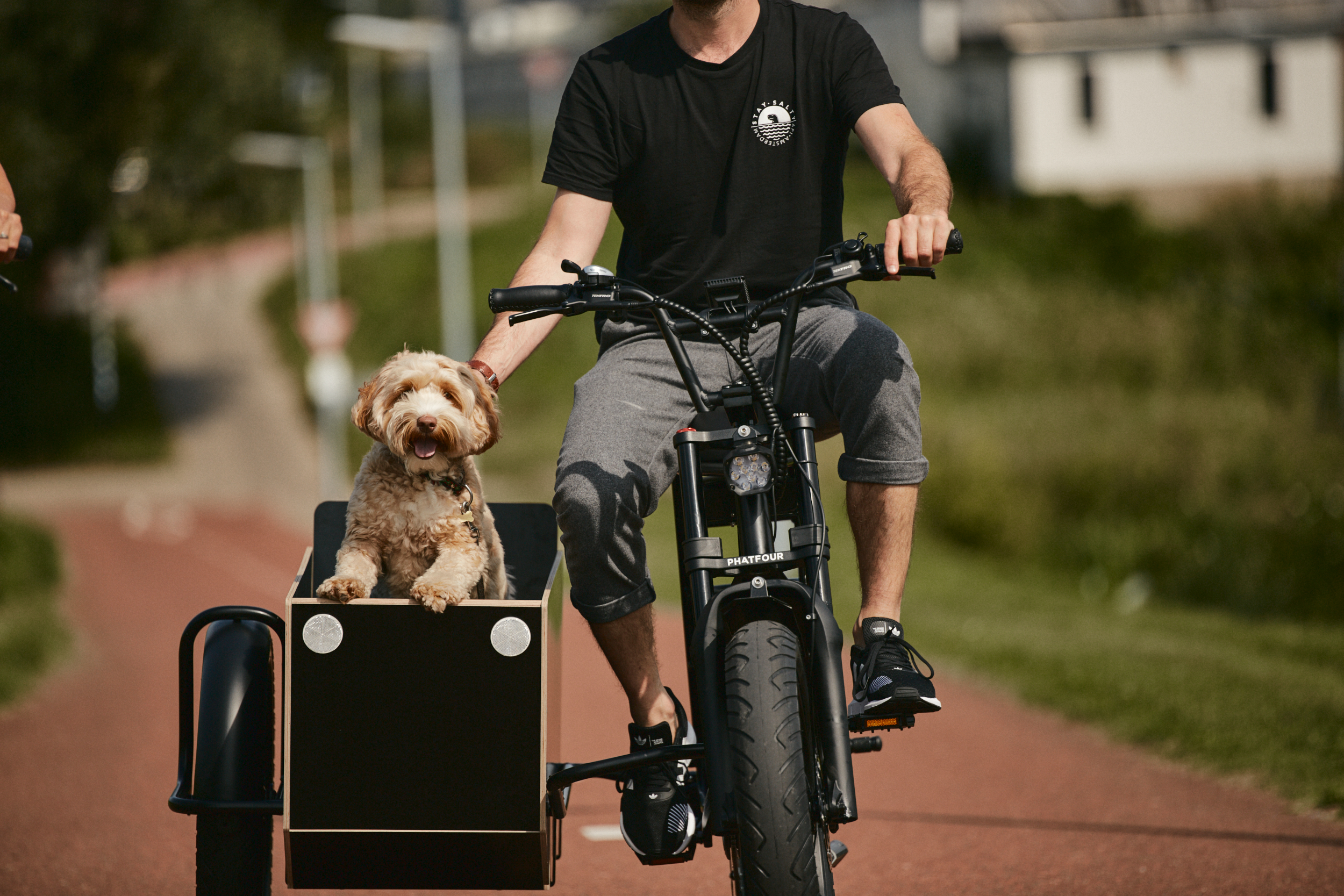 elektrische fiets zijspan