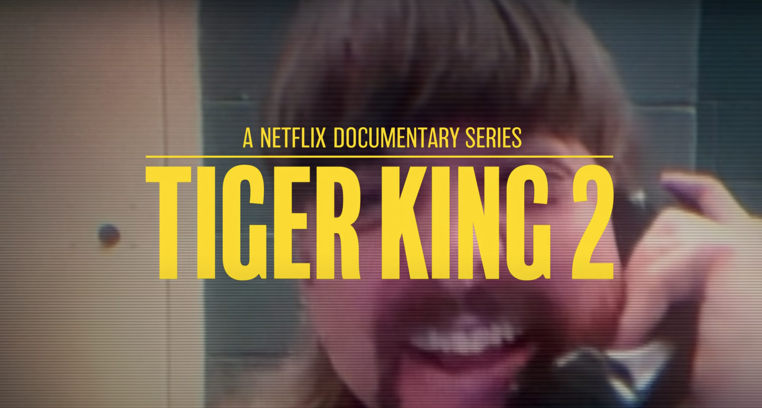 Tiger King 2 Netflix