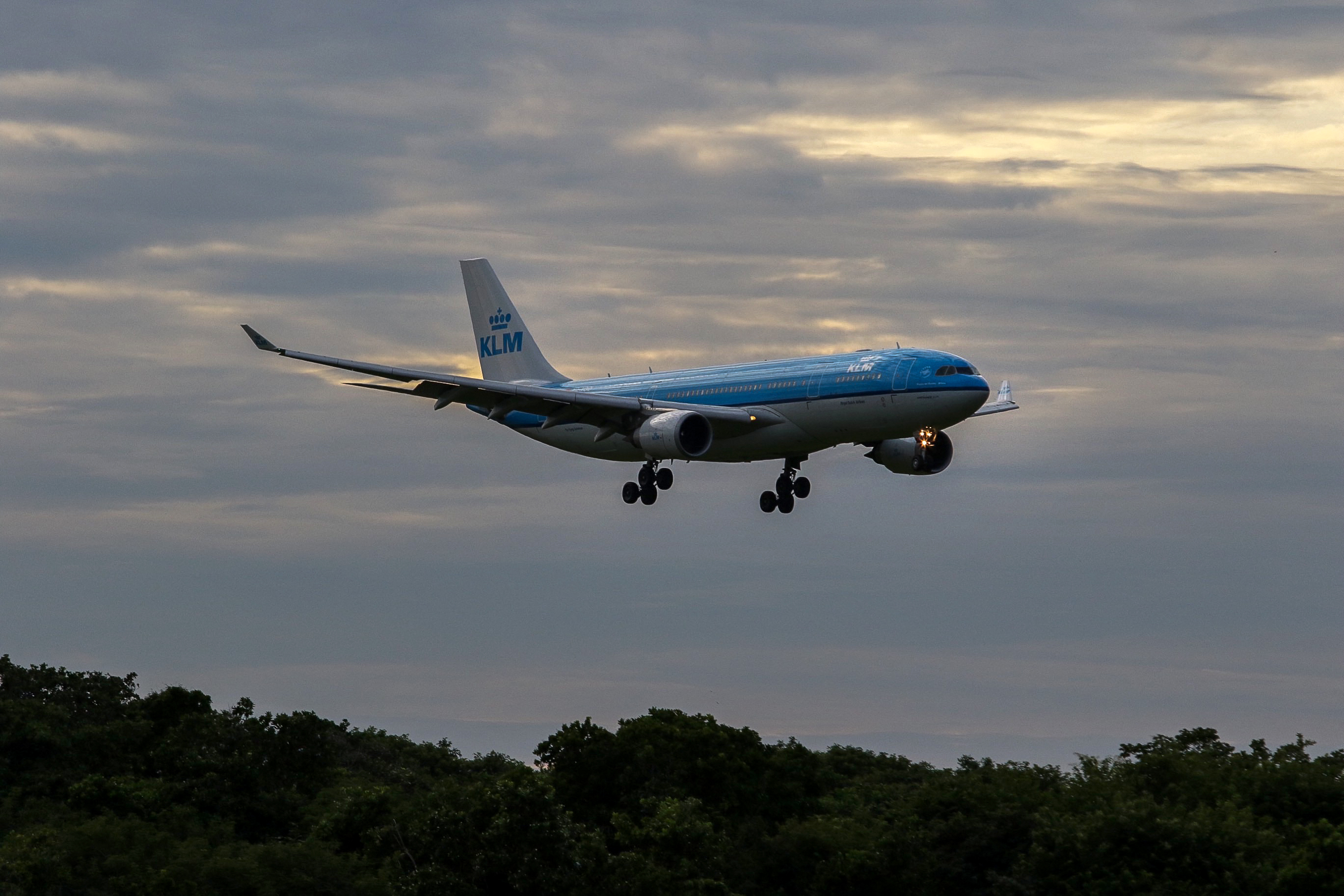 KLM vliegtuig Google Flights Skyscanner goedkope tickets