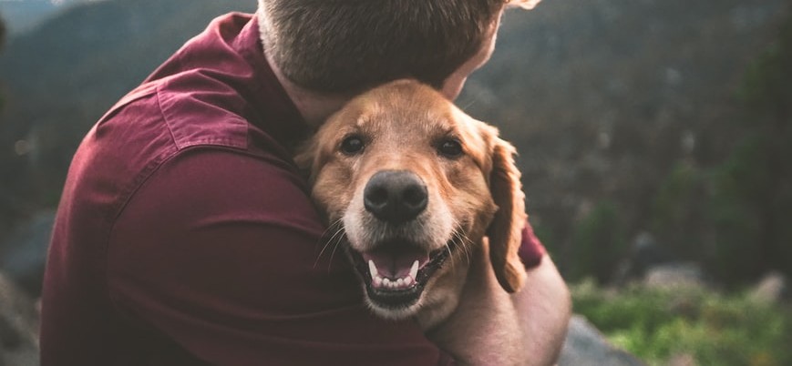Kunnen honden ons verstaan?