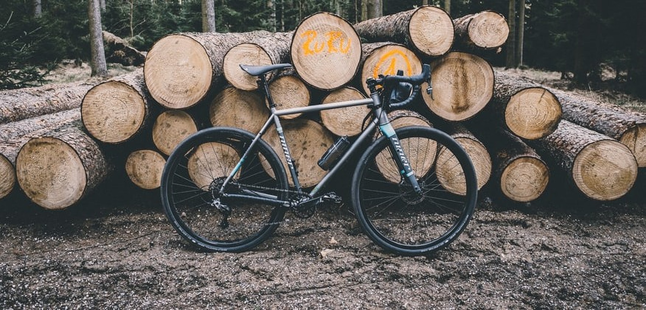 Elektrische fiets off-road