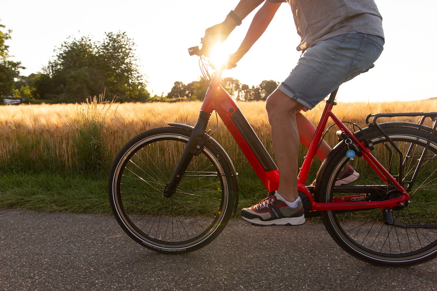 Elektrische fiets Gazelle