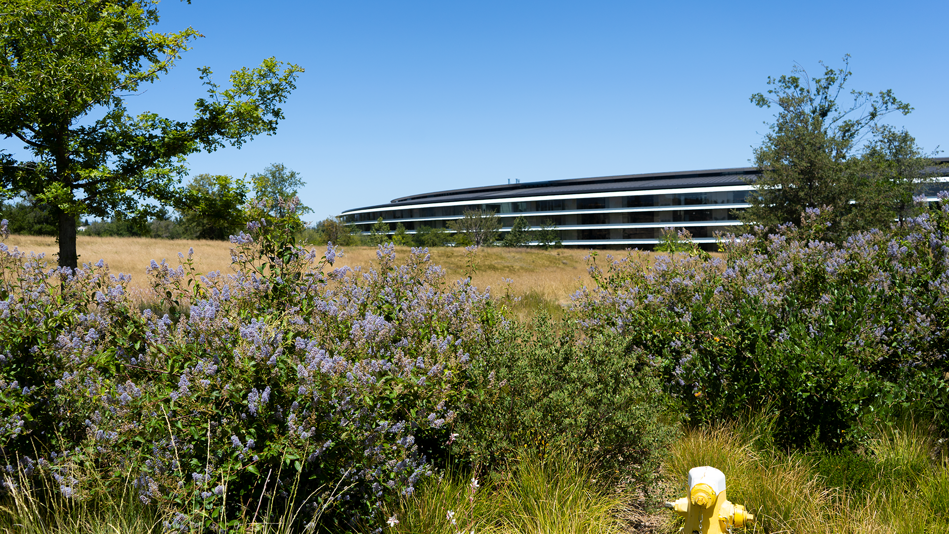 WWDC 2022 Apple Park