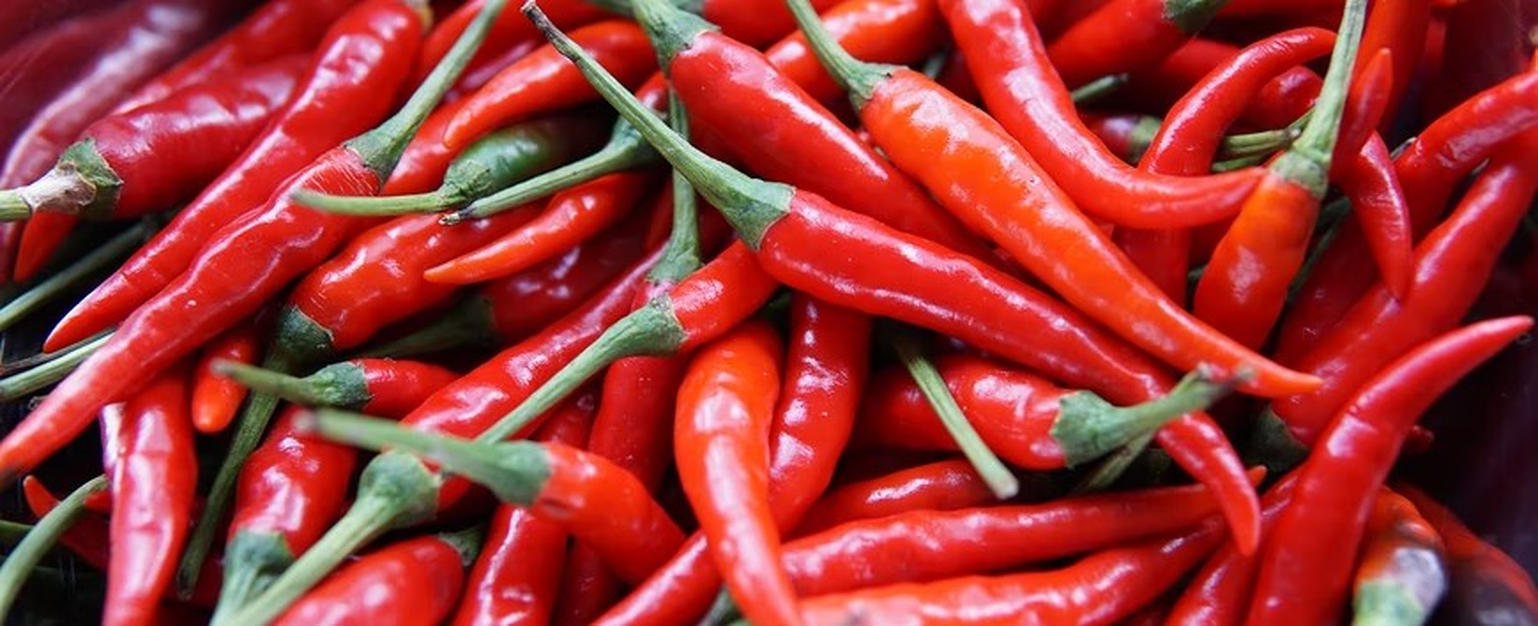 Rode pepers: pittig voedsel