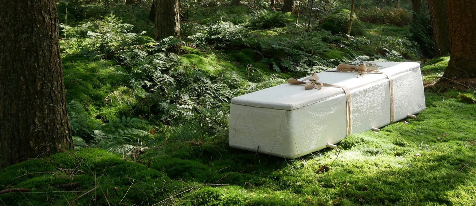 Doodskist van schimmels