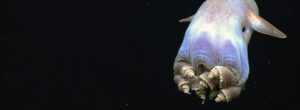aliens op aarde in de diepzee