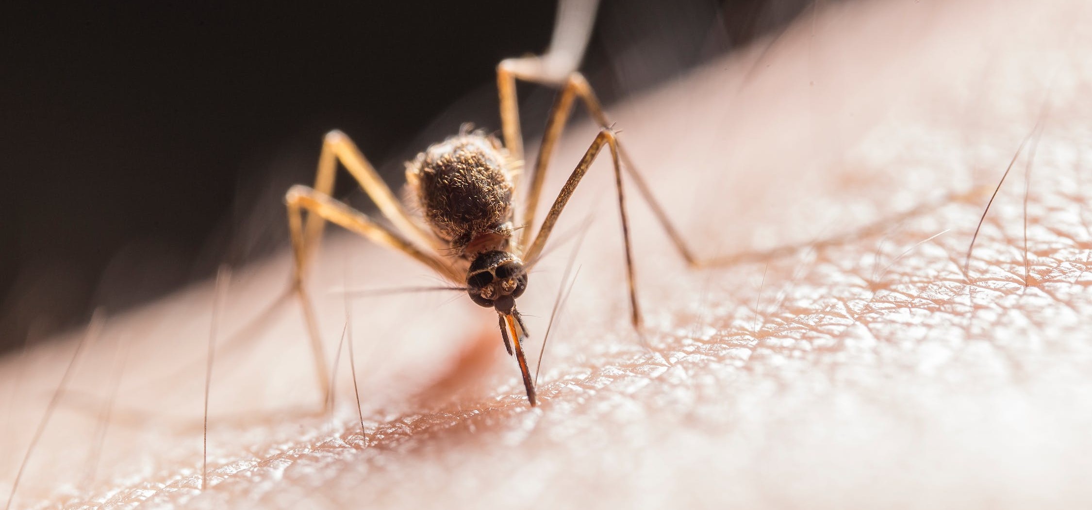 Muggen blijven op afstand als je deze speciale zeep gebruikt!