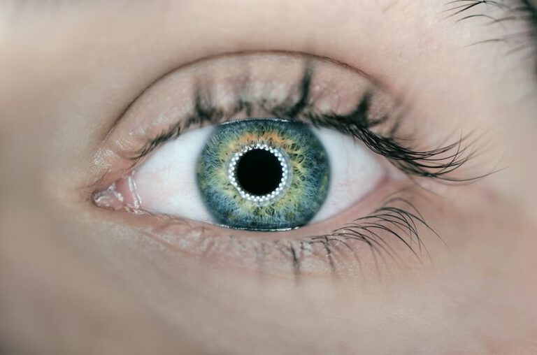 Intrigerend bionisch oog kan mensen de realiteit laten veranderen