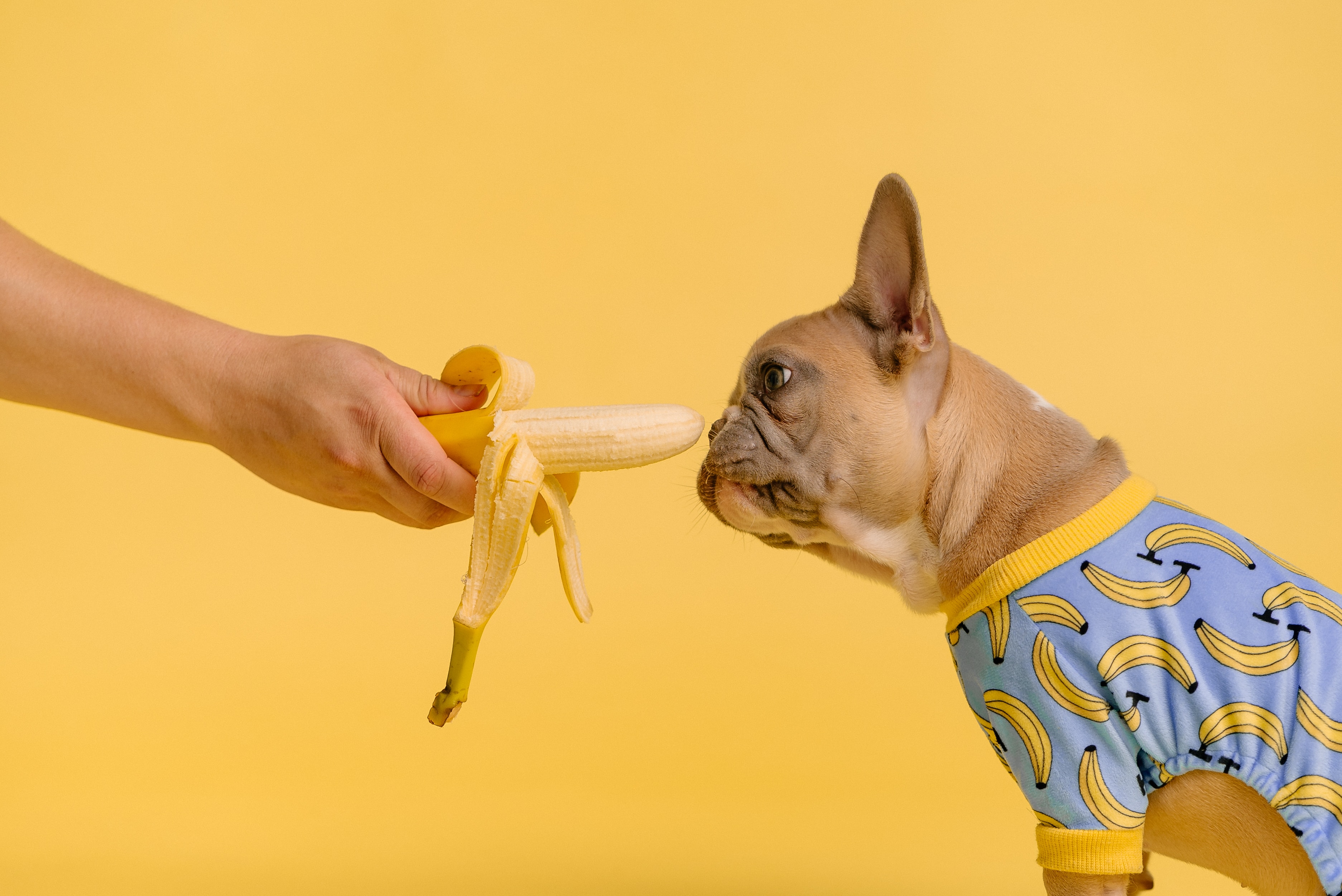 Is een banaan eten voor het slapen beter voor je nachtrust?