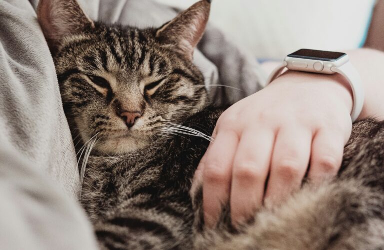 Apple heeft voor miljoenen geschikt in een zaak rond problemen met de Apple Watch Series 1, 2, 3 en 4. Helaas vissen we in Nederland waarschijnlijk achter het net.