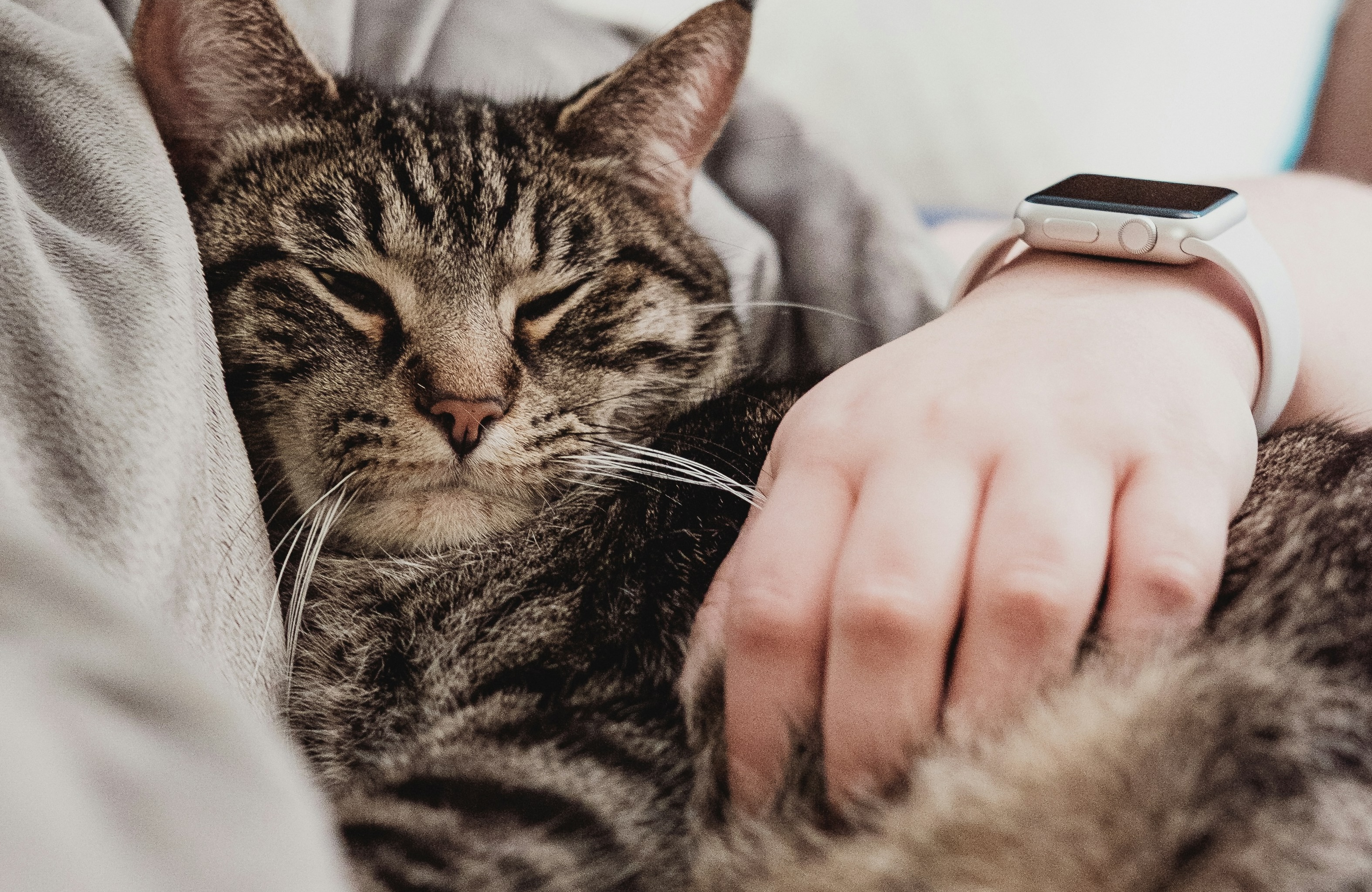 Apple heeft voor miljoenen geschikt in een zaak rond problemen met de Apple Watch Series 1, 2, 3 en 4. Helaas vissen we in Nederland waarschijnlijk achter het net.