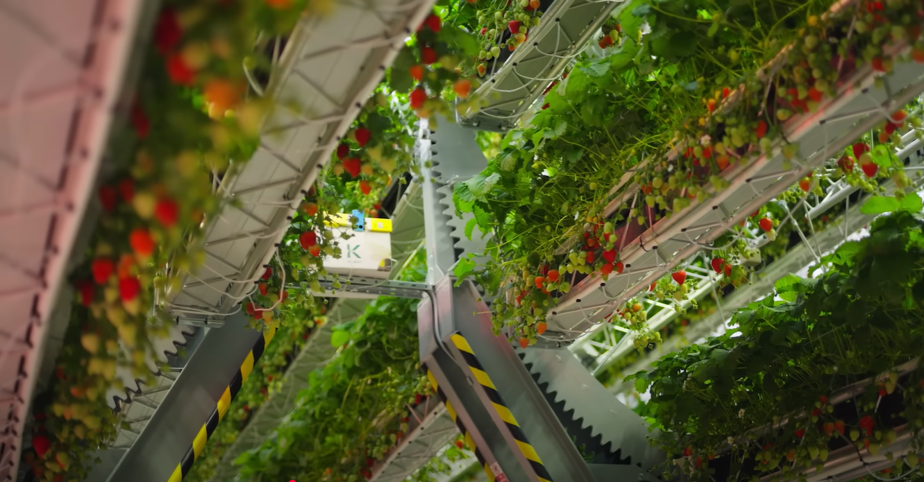 Dyson heeft ideale oplossing voor Nederlandse boeren