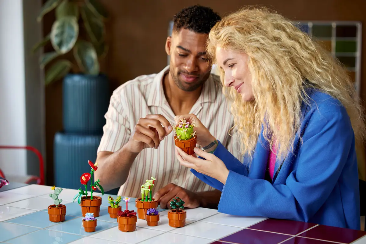 Het bouwen van een Lego-set is een leuke ervaring, maar is samen nog leuker. Deze sets zijn perfect om samen te bouwen.