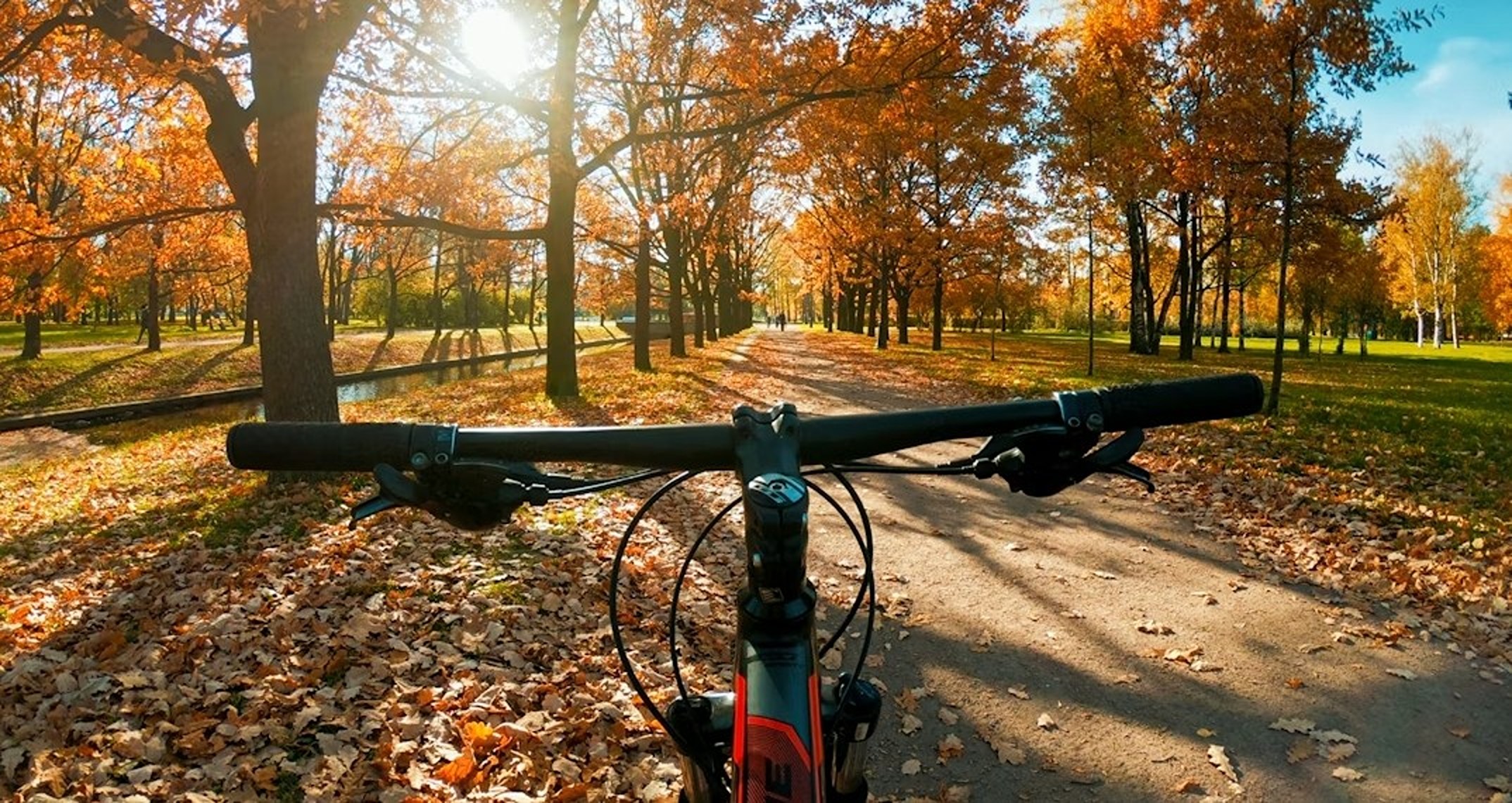 Hier moet je op letten als je dit najaar een elektrische fiets koopt